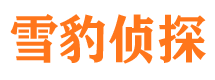 巴马侦探公司